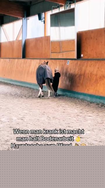 @Shanea & ihre Ponys ♥️🐴