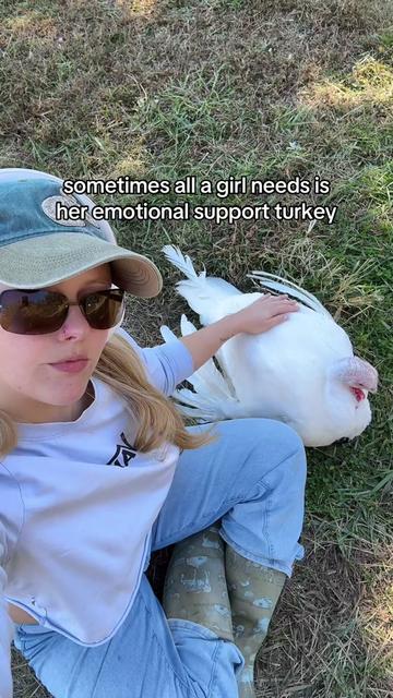 @farmerandtheharpiist