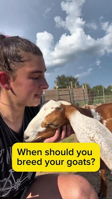 @Heart & Hoof Homestead