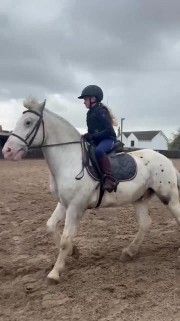 @LottiesHorseAdventures🦄🐴