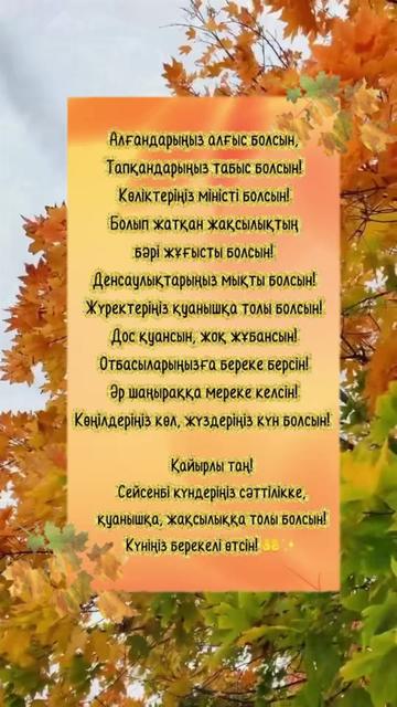 @aray_dinasil