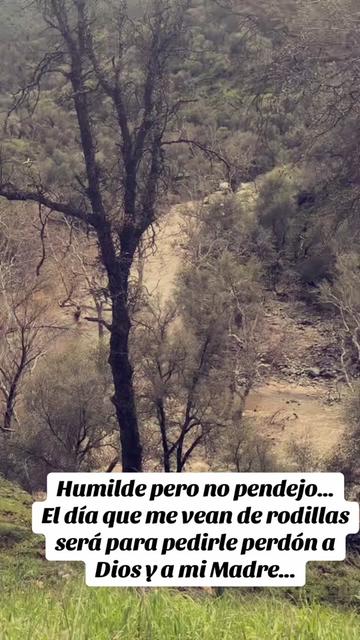 @PABLO PINEDA