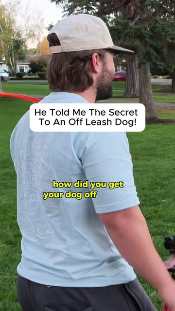 @forthedogs