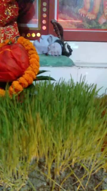 @Devnarayan Chaudhary