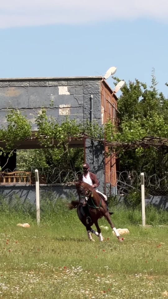 @Yunus Gül