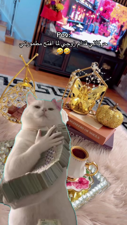 @إيلــــــ ٰ ٌ🎀 ٌ ٰ ــــين
