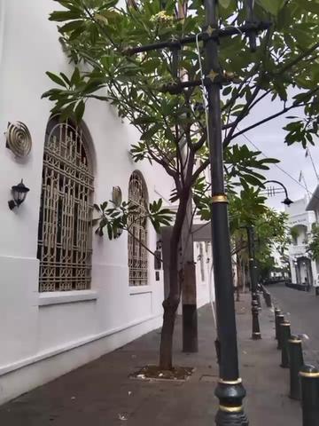 @Ny Erfandi