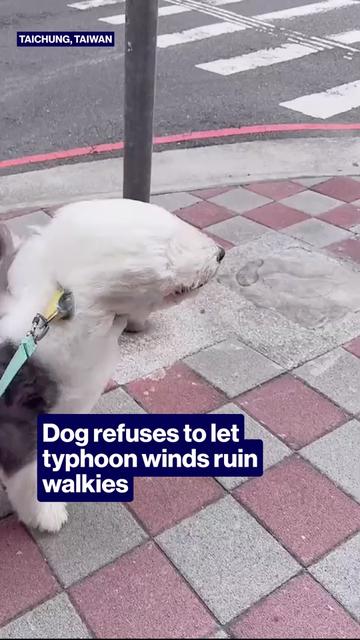 @TheProjectTV