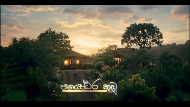 @Ayomi Perera