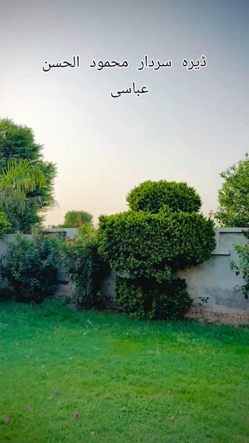 @سردار ثقلین ڈوگر 51 آلہ ⚖️