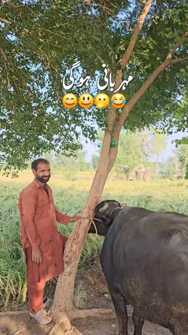 @Baloch Brothers
