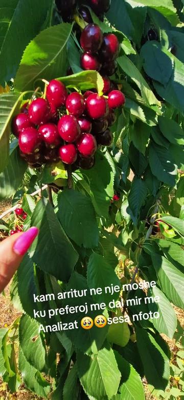 @Gena Qershia37🍒🍒