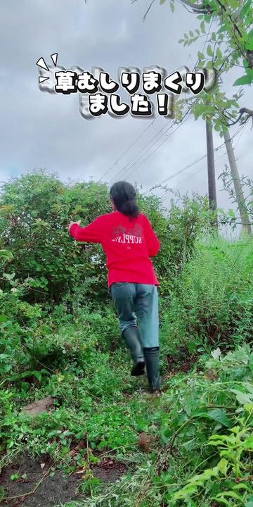 @やのともこ🦋🌈💓