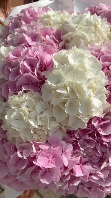 @👸🏽