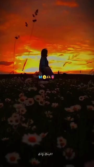@Zayan_16🕊️