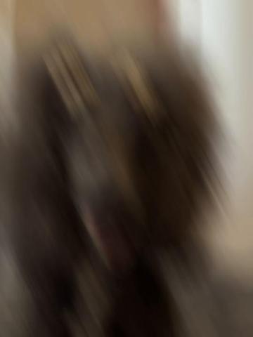 @Luxe The Adventure Poodle