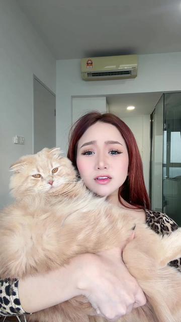 @syiqiyn