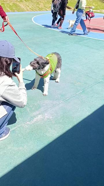 @Doggy Cream