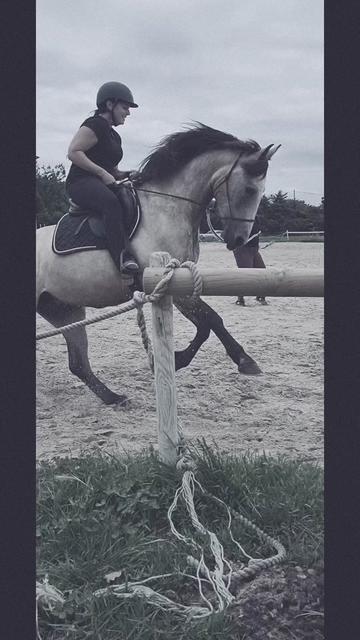 @Horsewoman Trip