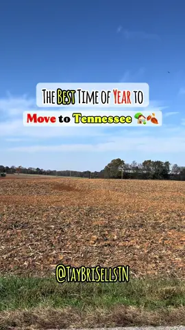 @Taylor Brianne Smith