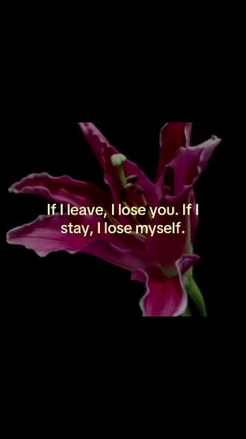 @nbcavenue