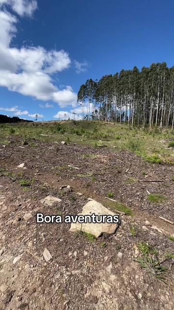 @Sobrevivente basico