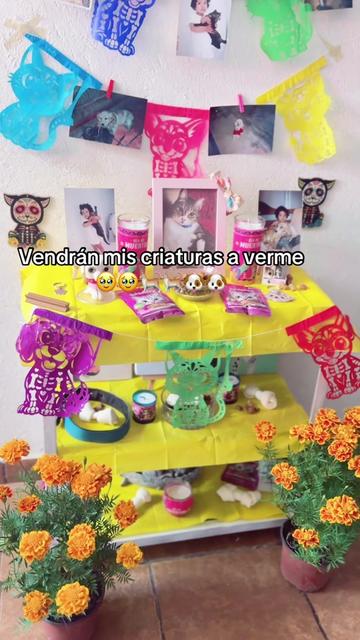 @fabi