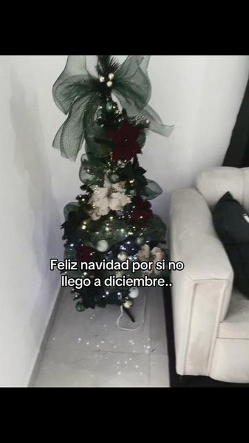 @Moquito 🦟👣