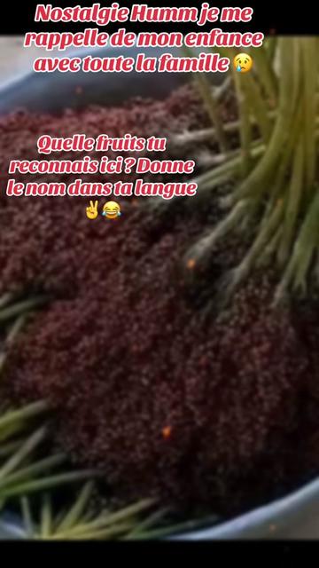 @CHOUCHOUKABLETO ET FIER 🩷🌹👸