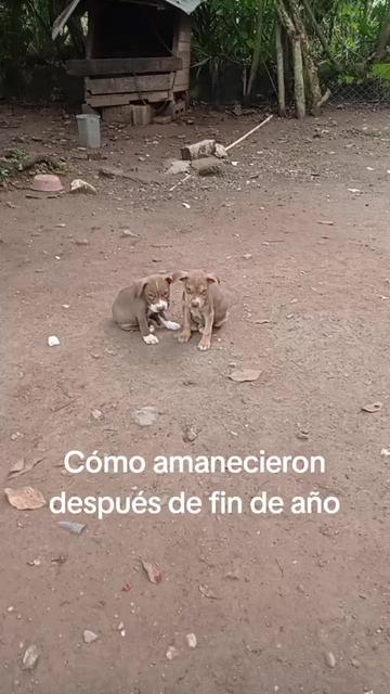 @Aryuri Lopez