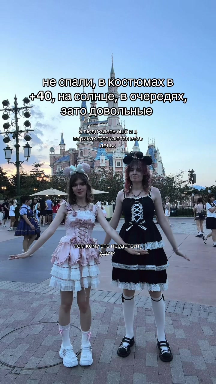 @тгк vivien & meowmulia˚✧₊