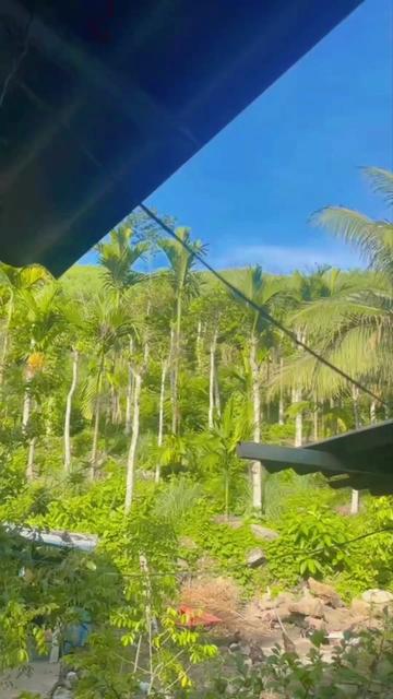 @Huyền Trang