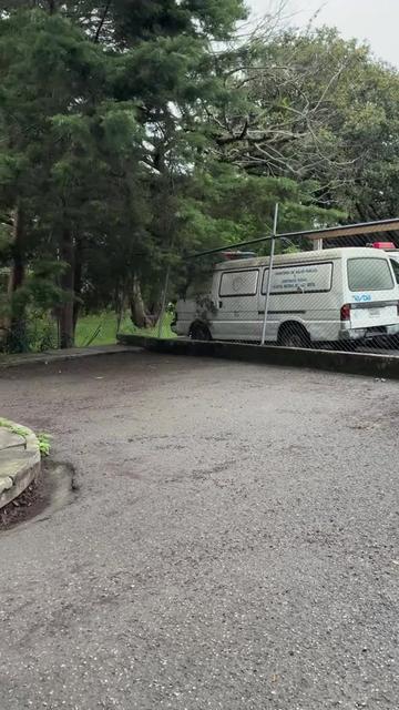 @José Chic