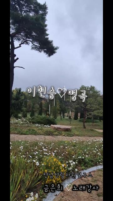 @금은희
