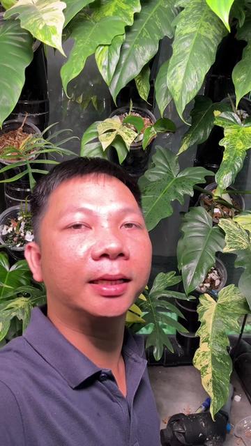 @Huy Kiểng L&aacute;