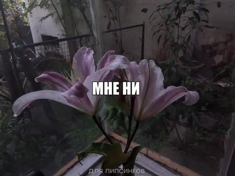 @для липсингов