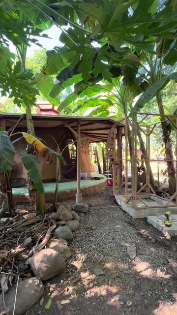 @Hali🌿 de Cultura Regenerativa