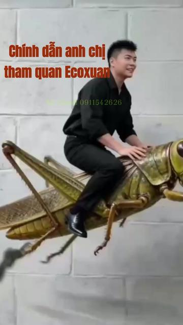 @Trần Chính