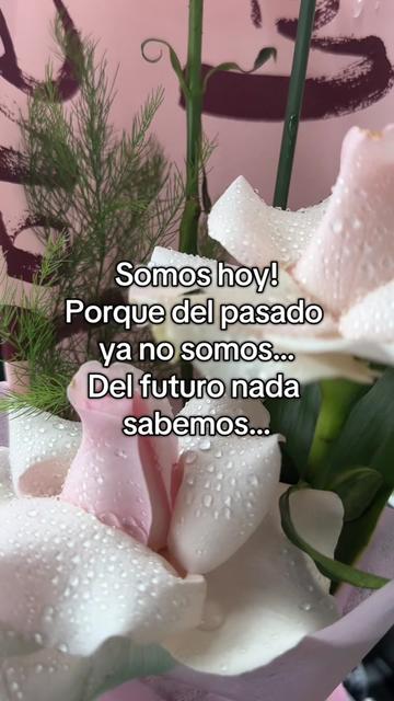 @Dulce Li♡