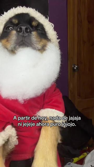 @🍀🐾Luis Pulgarin y Mafrencito