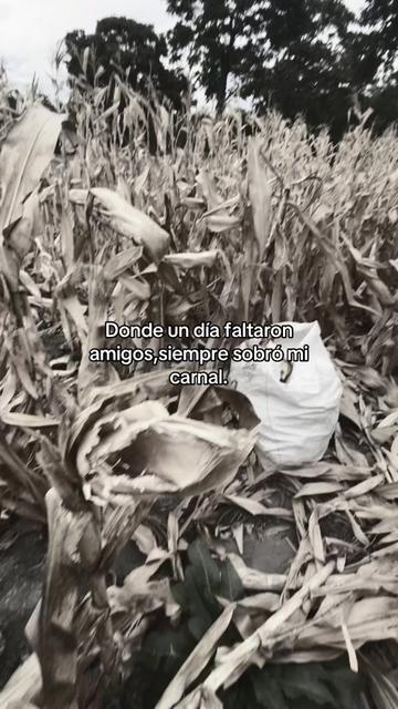 @️🥀Rafa🪫