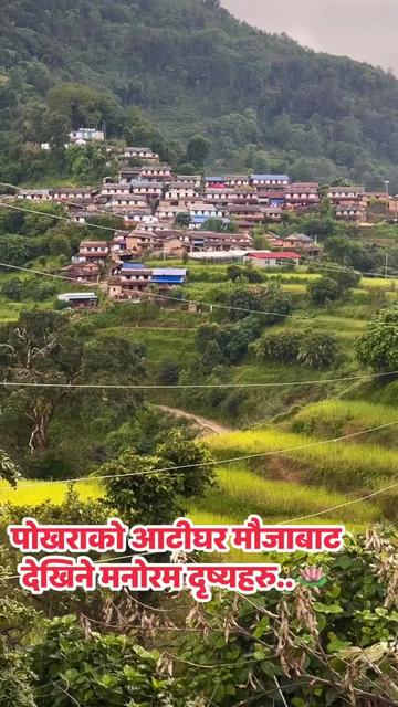 @स्वर्णकमल 🪷