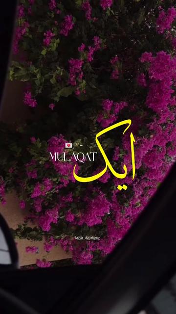 @𝗠𝗔𝗟𝗜𝗞 𝗫 𝗔𝗘𝗦𝗧𝗜𝗫🪐