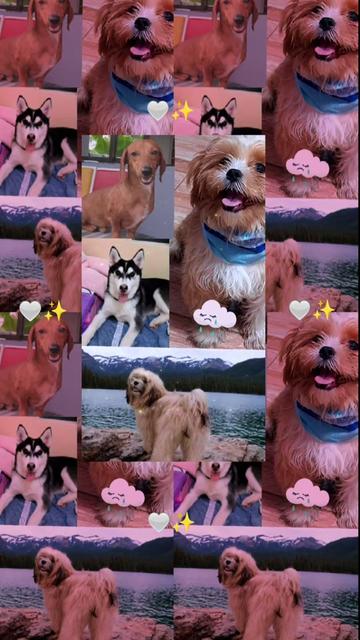 @♡💜Angelwithhorn💜♡