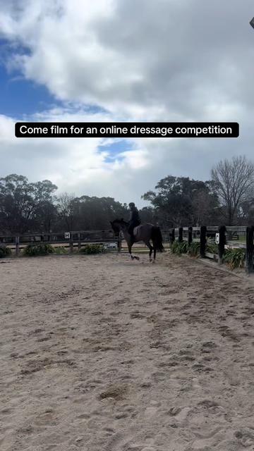 @TDDG Equestrian