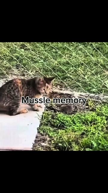 @๐๐ข๐ฃ10๐๐๐ฃ๐ฉ
