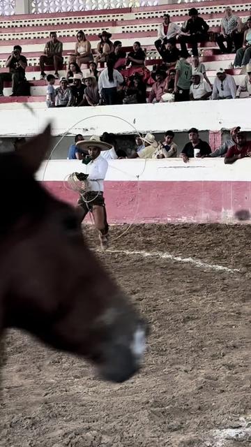 @José Ramón Medina