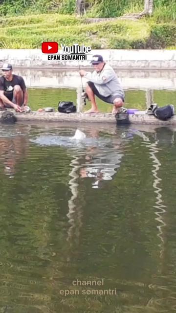 @ipan mancing channel
