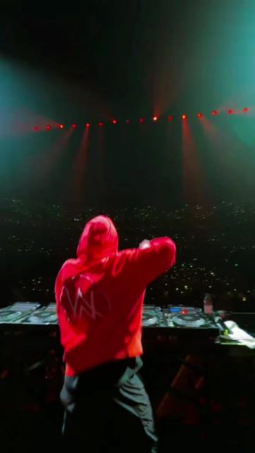 @Alan Walker Fan