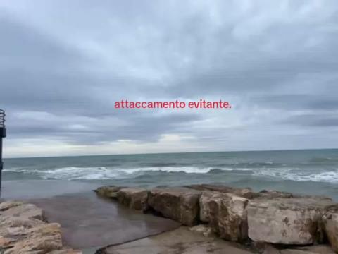 @joia.spamm